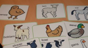 Afrikaans farm animals