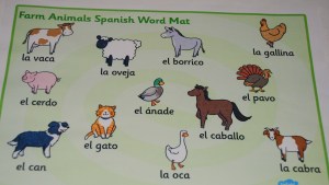 Spanish farm animals