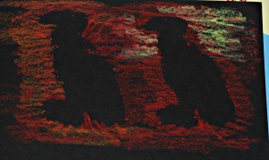 African stencils vultures