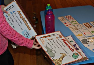 animal classification