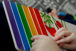 Planting a rainbow colours