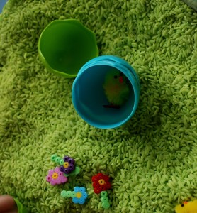 spring sen bin chick