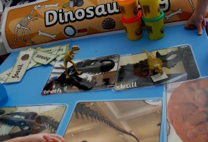 Dinosaur skeleton photos