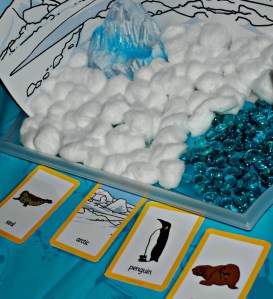 Arctic habitat tray with matching animal cards