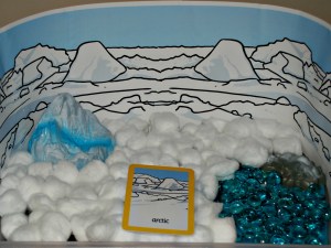 Arctic habitat tray