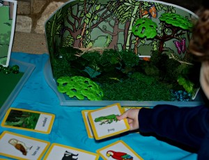 Habitat tray adding animal cards