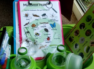 Lets go on a Minibeast hunt in the garden. perfect for the spring and summer months. found on ofamilyblog