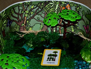 Rainforest habitat tray