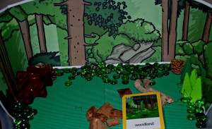 woodland habitat tray