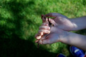 earthworm from the garden