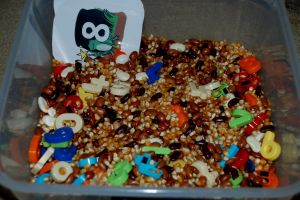 Beans sensory tub with magnetic numbers and our Free Twinkl number cards