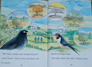 Follow the Swallow inside page