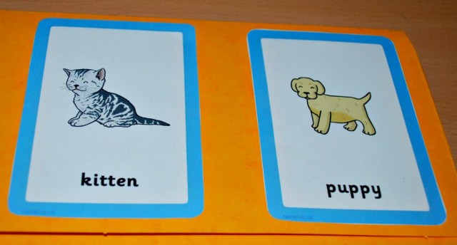 Animals and their Young matching cards used a really easy to make folder. Great for younger children
