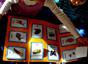 animal babies folder using free twinkl pages on ofamilyblog