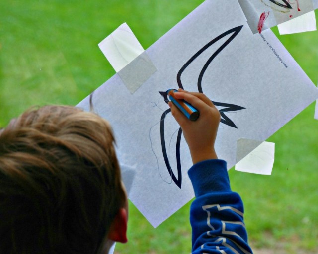 Swallow Drawing. tracing over the swallow template