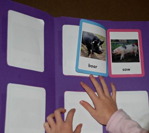 Male and female animal folder using Twinkl pages on ofamilyblog