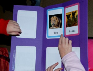 Male and female animal folder