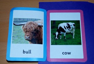 male and female folder with a flap open - on ofamilyblog