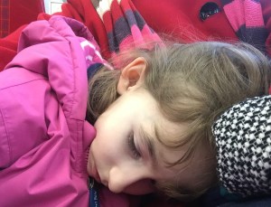 Natural history museum on the way home