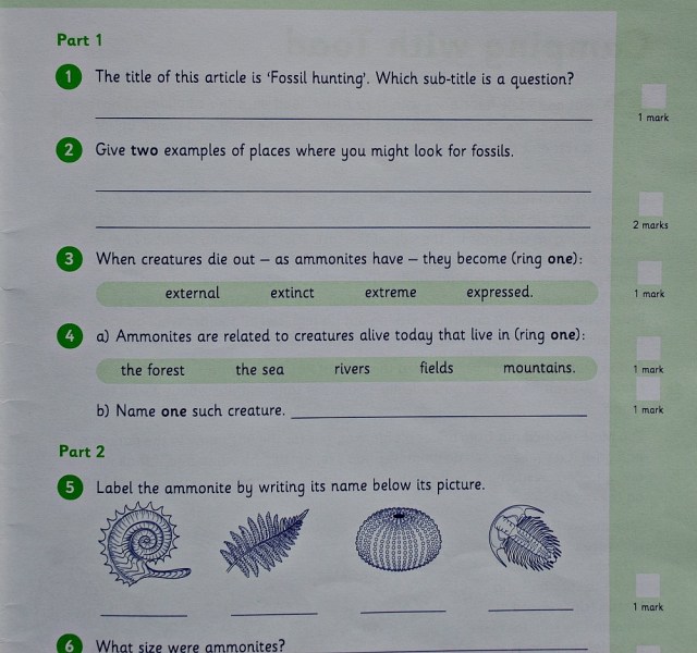Schofield & Sims Comprehension 2 Book. Fossil Hunting questions