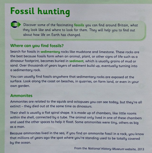 Schofield & Sims Comprehension 2 Book. Fossil Hunting Text