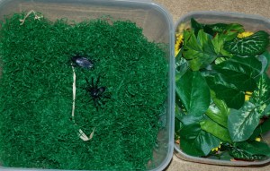 Sensory tubs - using green shredded paper as grass and craft leaves
