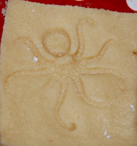 baking - animal biscuits