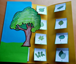 Identifing a tree based on its leaves ofamilyblog