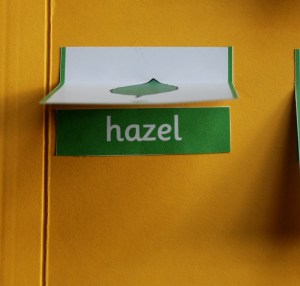 Identifing a tree based on the shape of its leaves