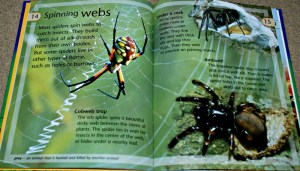 Kingfisher Animal Homes book by Angela Wilkes