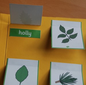 Leaf identification card folder on ofamilyblog