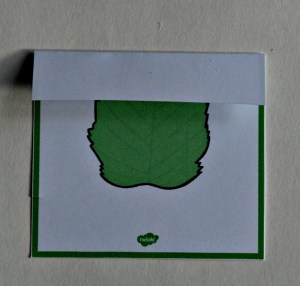 Leaf identification card