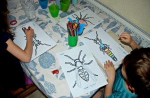 Minibeast colouring sheets Free to download from Twinkl