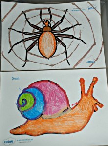 Minibeasts with sand art detailed added