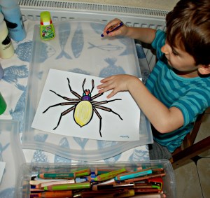 Sand Art Minibeast - spider page using free to download colouring pages from Twinkl
