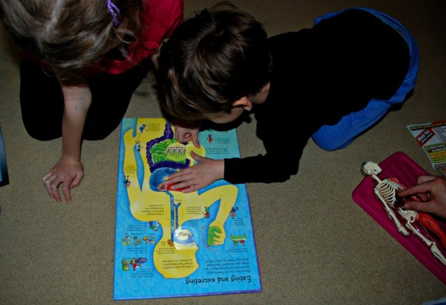 Young kids fascinated by the Usborne See Inside your body book