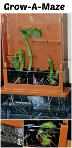 Grow-A-Maze Great for giving young kids an up close view of how plants grow. Brilliant addition to any home learning