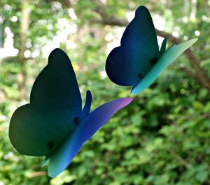 rainbow butterflies on the window