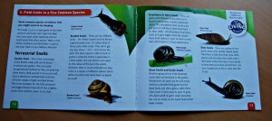 Snail World set contains a very informative book