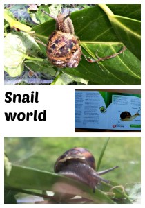 snails snails snails. young kids learning about snails with the help of snail world