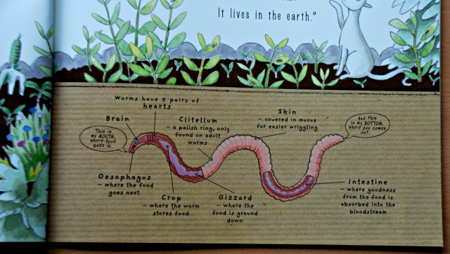 Yucky Worm book includes some facts about the worms