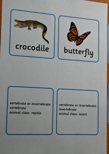 animal classification cards printed from the twinkl website
