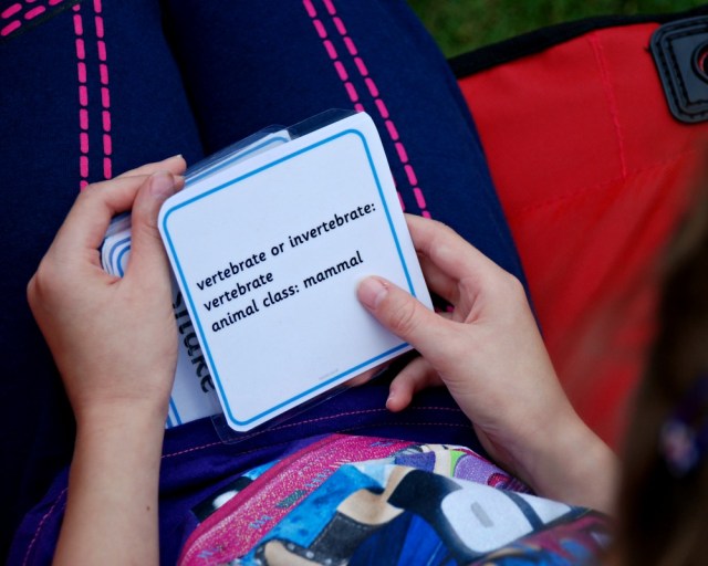 Animal classification cards which include also include Vertebrate verses invertebrate classification