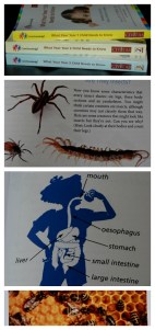 Core Knowledge Books. Very informative and great for helping plan your home education