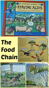 Explain the food chain to young kids using the book Staying Alive. Very informative and easy for young kids to understand