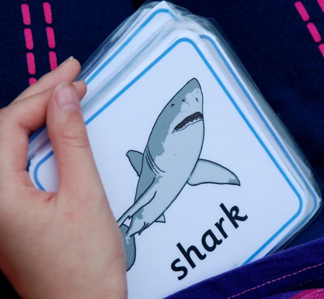 Learning to classify animals, look at the picture, guess the answer and then turn over the card to see if you are correct