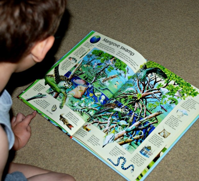 Youngest reading the Usborne great planet earth search book