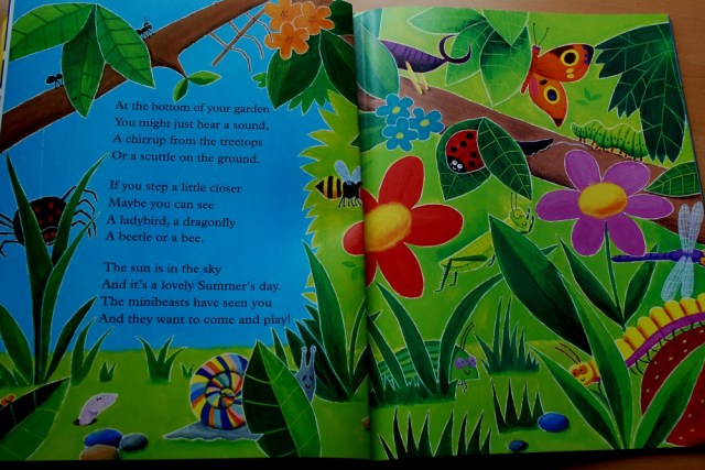 Mad about Minibeasts by Giles Andreae & David Wojtowycz great book for young kids