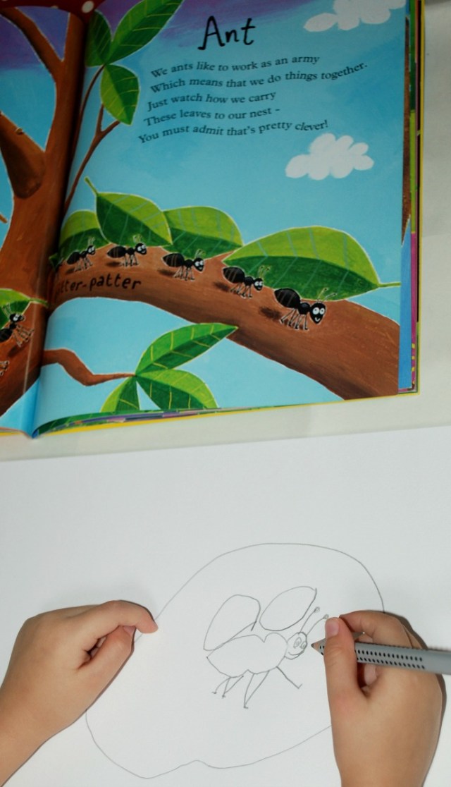Mad About Minibeasts drawing an ant