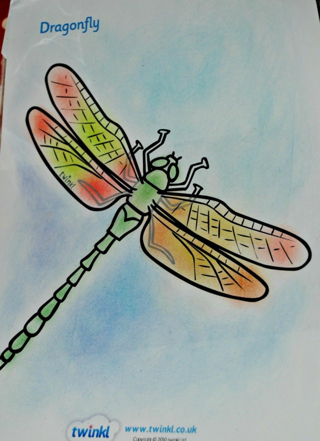 Mad about Mininbeast dragonfly